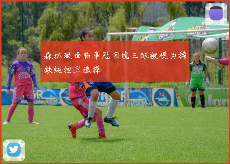 森林狼面临争冠困境三球被视为稀缺纯控卫选择