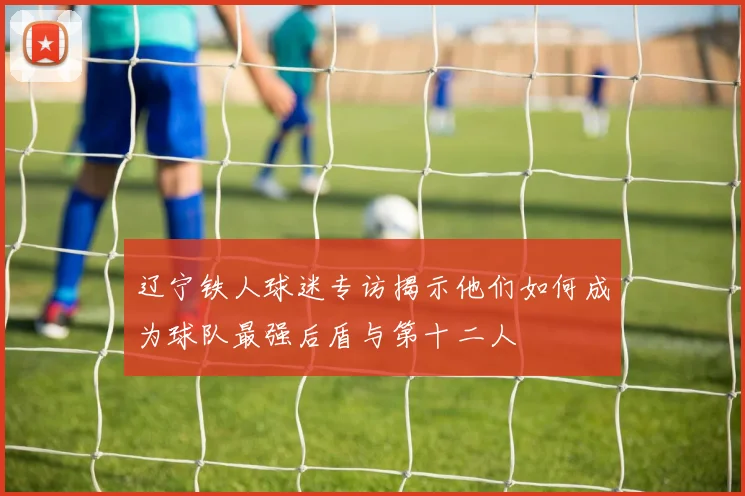 辽宁铁人球迷专访揭示他们如何成为球队最强后盾与第十二人
