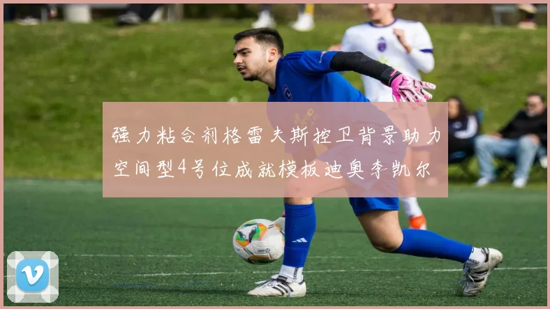 强力粘合剂格雷夫斯控卫背景助力空间型4号位成就模板迪奥李凯尔